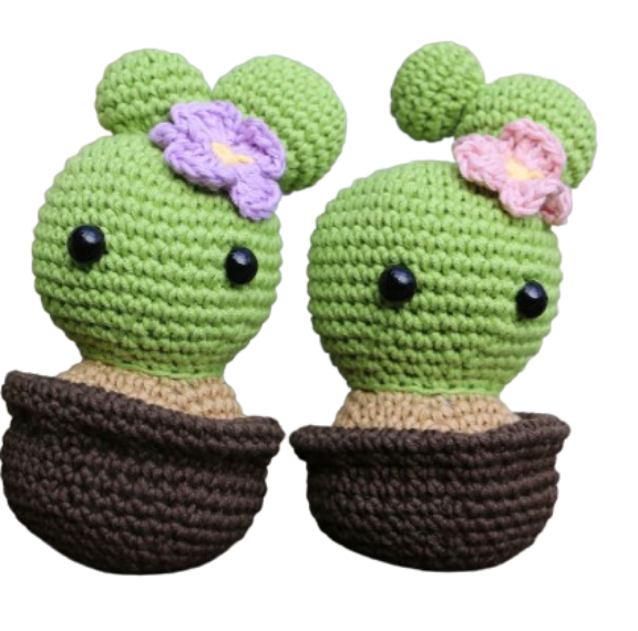 🌵 Amigurumi Cactus con Flor – Hecho a Mano