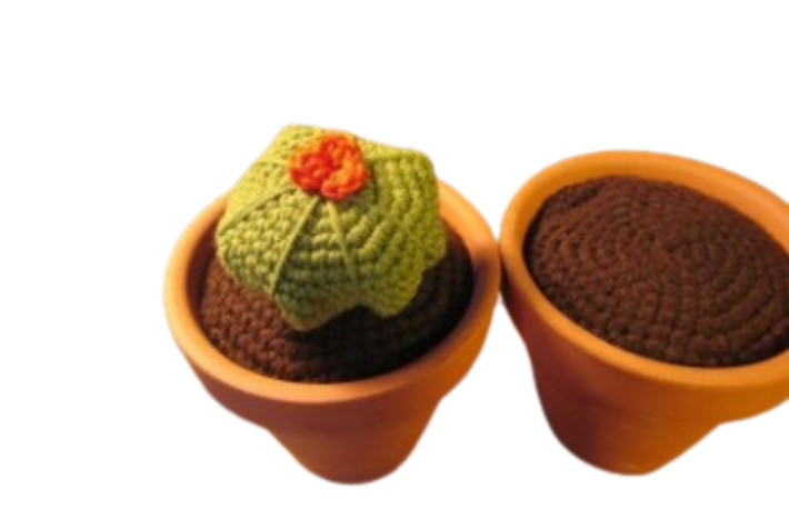 🌵 Cactus en Macetero – Amigurumi Hecho a Mano