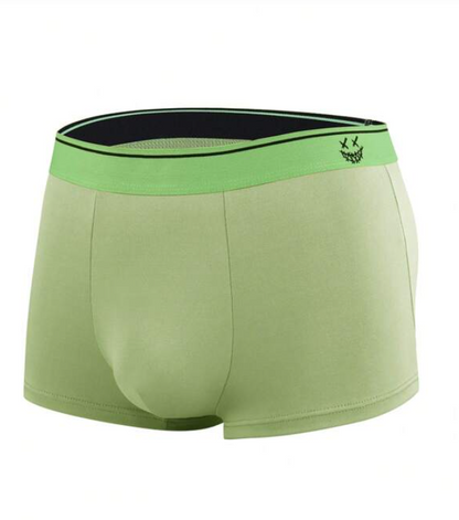 Boxers de Diseño con Detalles Únicos