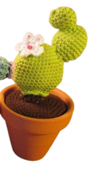 🌵 Cactus Verde con Flor Rosa – Amigurumi Hecho a Mano