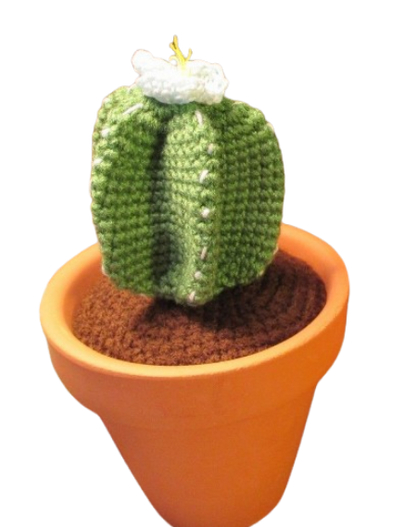 🌵 Cactus Verde con Flor Blanca en Macetero – Amigurumi Hecho a Mano