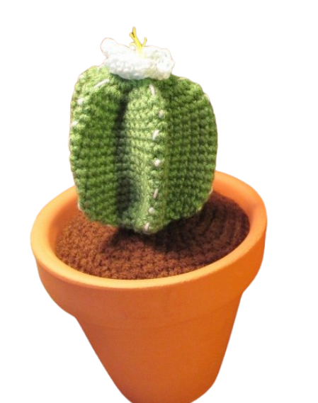 🌵 Cactus Verde con Flor Blanca en Macetero – Amigurumi Hecho a Mano